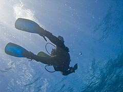 The little rascal wants to be free