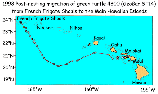 Migration map for Turtle 4800