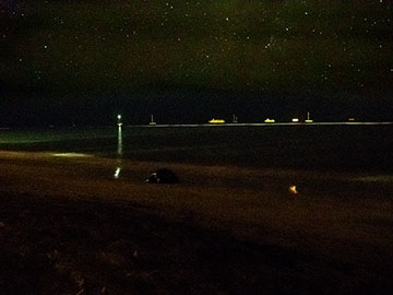 5690 first crawl August 20, 2011