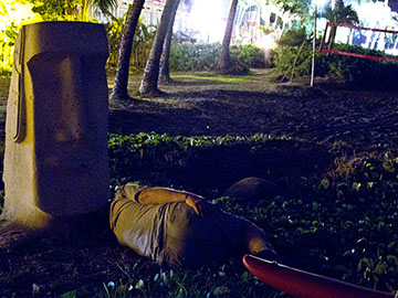 George Balazs watches 5690 nesting