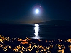 Moon over 5690 making nest #7