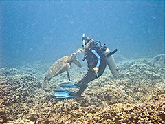 The first bite at the camera