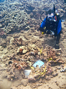 The author contemplating a Promise fulfilled