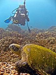 That's me taking Raphael's picture