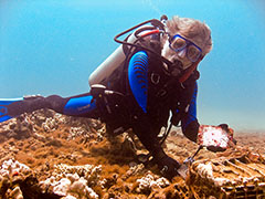 Your author and The Promise Renewed