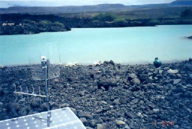 World's first SeaTurtleCam installed at Turtle Lagoon in the Hawaiian Islands