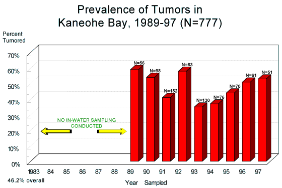 Prevalence of tumors in Kaneohe Bay, 1989-97