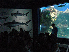 Your author in the dark with the sharks