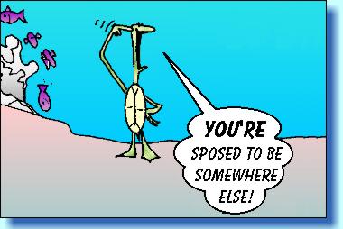 You're sposed to be somewhere else!